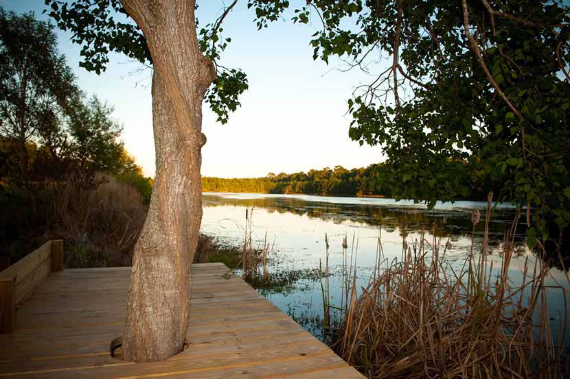 The Lake House at Bulow